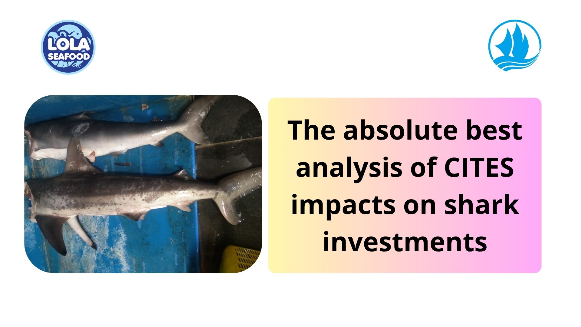 The absolute best analysis of CITES impacts on shark investments